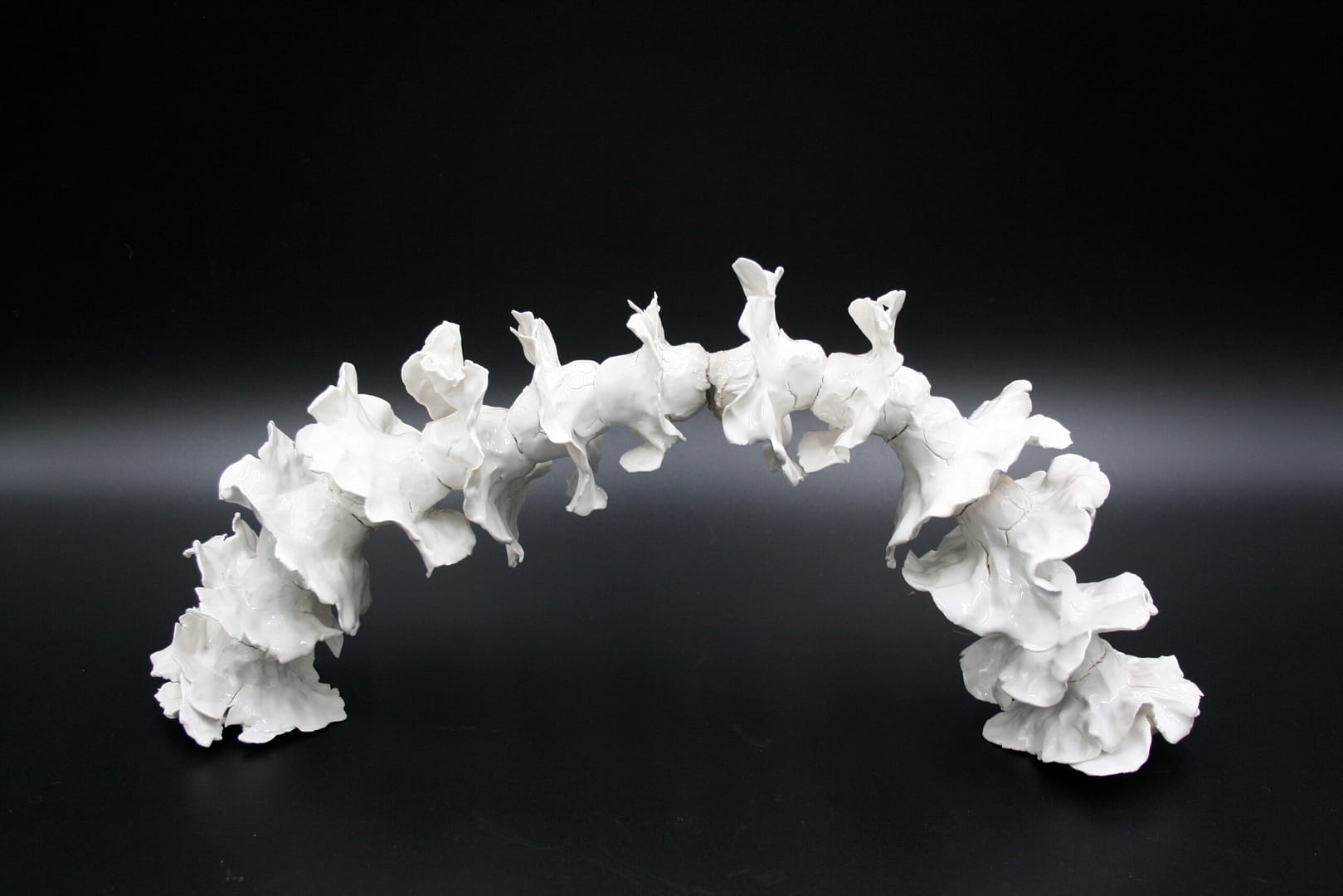 Sculpture in porcelain lika a spine and a bridge