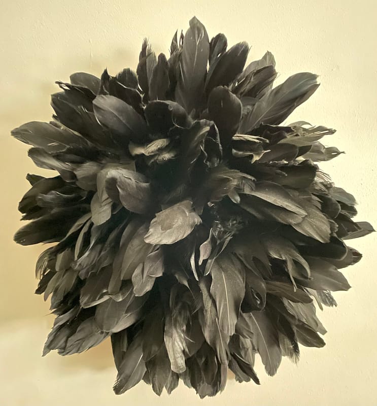 Black feather hemisphere art